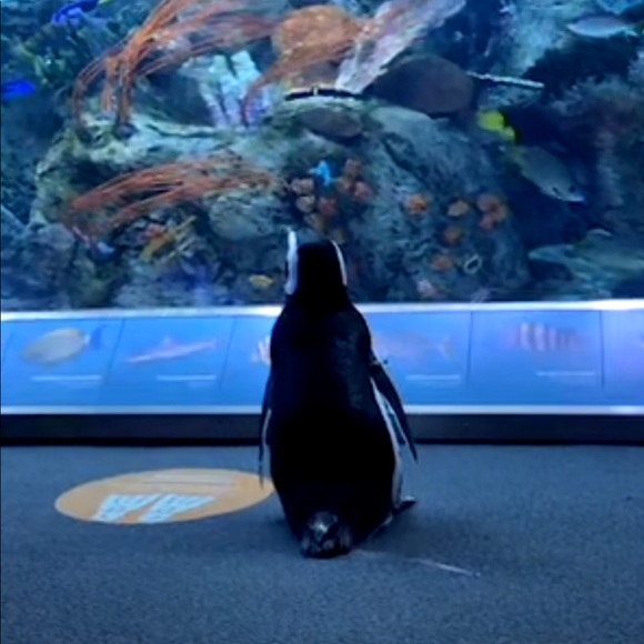 Meet your Posher, Matthew - Picture 1 of 1